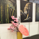 フランスで花装飾