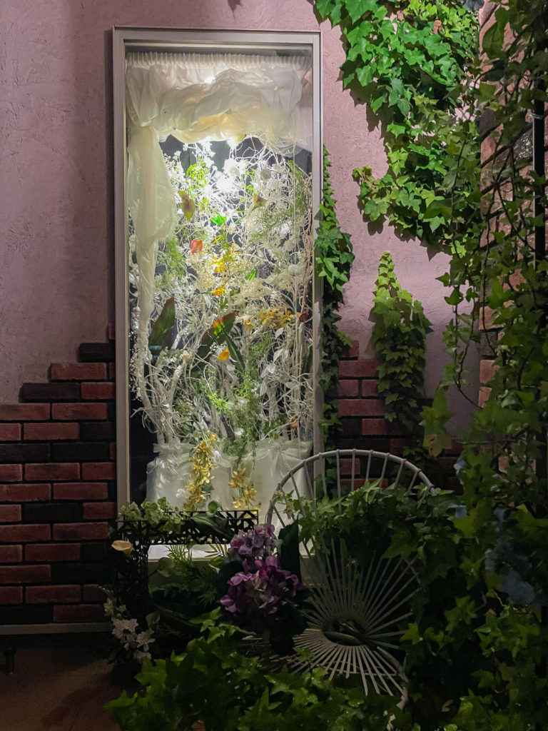 日本テレビ放映